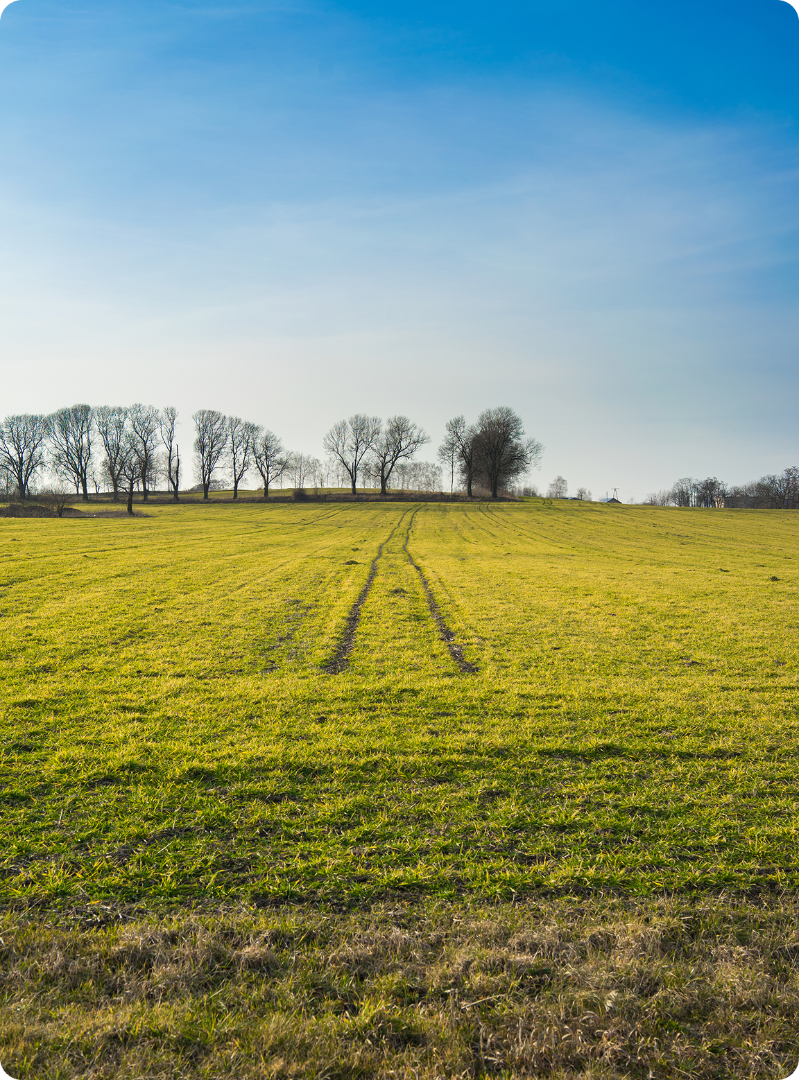 Vacant land block with boundaries